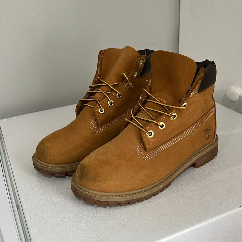 Timberland Men's Brown Nubuck Boots